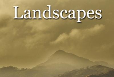 6th Annual "landscapes Online Art Competition