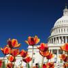 U.S.  Capitol