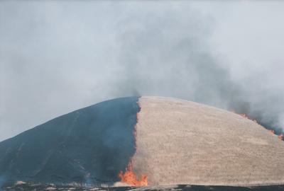 Rinko Kawauchi, Untitled, from the series Ametsuchi, 2012; collection SFMOMA, Foto Forum purchase; © Rinko Kawauchi