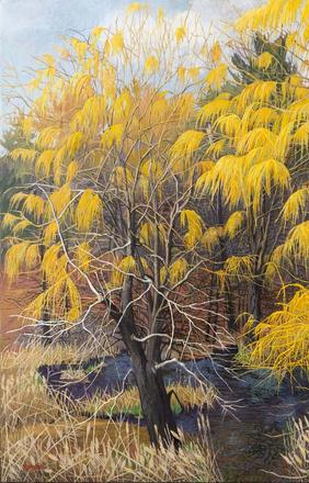 Vernal Pool with Willows, 2003.  Oil on canvas, 36 x 48 inches.