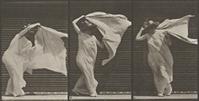 Eadweard Muybridge, Lifting shawl, putting it around shoulders and turning, plate 233 [detail] from Animal Locomotion, 1887.  Heckscher Museum of Art; Gift of Mrs.  Jill Tane.