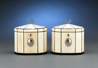 This extraordinary pair of George III period tea caddies are enveloped in ivory, with tortoiseshell and sterling silver trim and mounts.  Circa 1790.