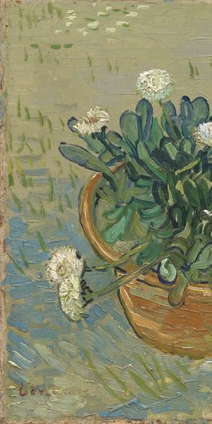 2018 Loan Exhibition Highlight Vincent Van Gogh (Dutch, active in France, 1853-1890) Daisies, Arles, 1888 Oil on canvas Framed: 20 1/2 × 23 3/4 × 2 1/4 in.  (52.07 × 60.33 × 5.72 cm) Collection of Mr.  and Mrs.  Paul Mellon, 2014.207 Image © Virginia Museum of Fine Arts