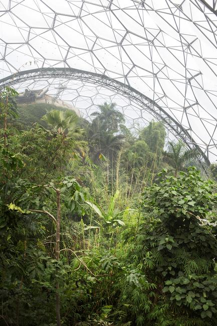 Alberto Giuliani, Eden Project Biospheres, Cornwall, UK, 2017.  Courtesy of the artist