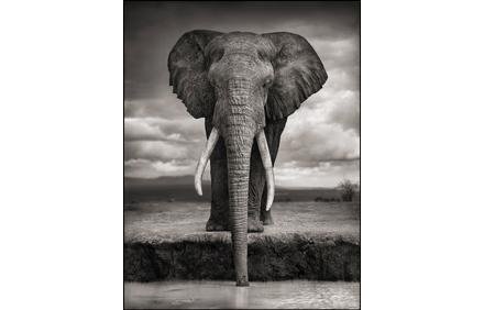 Nick Brandt