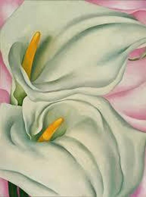 Two Calla Lilies on Pink, 1928.  Georgia O'Keeffe (American, 1887–1986).  Oil on canvas; 101.6 x 76.2 cm (40 x 30 in.).  Philadelphia Museum of Art, Bequest of Georgia O'Keeffe for the Alfred Stieglitz Collection, 1987.