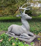 Barbara Israel, Recumbent Stag