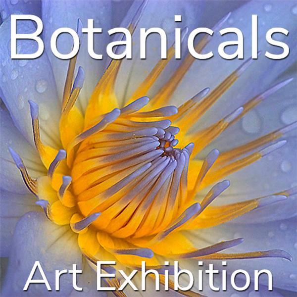 10th Annual "Botanicals" Online Art Exhibition www.lightspacetime.art