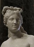 The Capitoline Venus, 2nd century AD, marble (probably Parian), as installed in the Rotunda of the West Building of the National Gallery of Art, Washington.  Sovraintendenza ai Beni Culturali di Roma Capitale—Musei Capitolini, Rome, Italy 