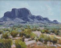 David Forks, Summer Chisos, 2012, Oil on panel, 11" x 14" 