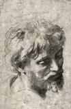 "Head of a Young Apostle" brought an auction record for Raphael.