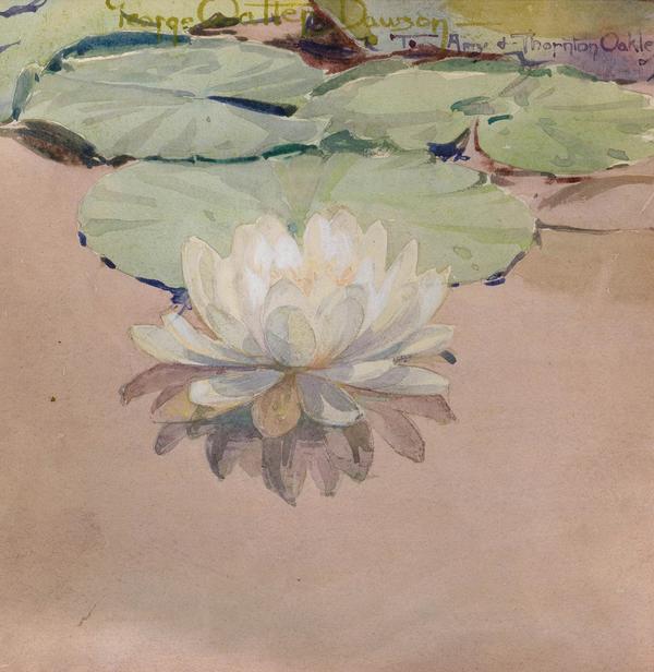 GEORGE WALTER DAWSON (1870-1938) White Water Lily, 1912 Watercolor on paper 10 x 10 in Signed and dedicated by the artist in pencil lower right: “George Walter Dawson to Amy & Thornton Oakley” 