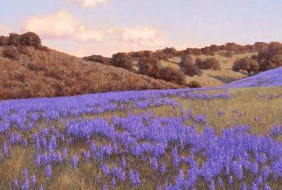 Dennis Doheny "Monterey Lupines", 24 x 30, Oil on linen.  Available Now.