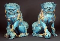 Pair of Chinese three color glaze Buddhist lions Ming Dynasty, from Peter Vallin.