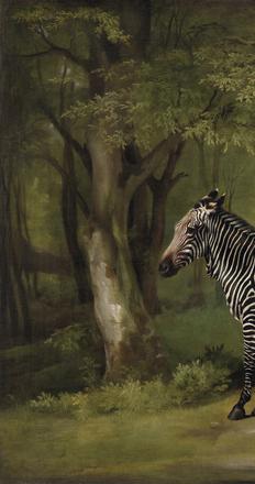 George Stubbs, Zebra, 1763, oil on canvas, Yale Center for British Art, Paul Mellon Collection