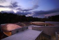 Exterior view.  Courtesy Crystal Bridges Museum of American Art.