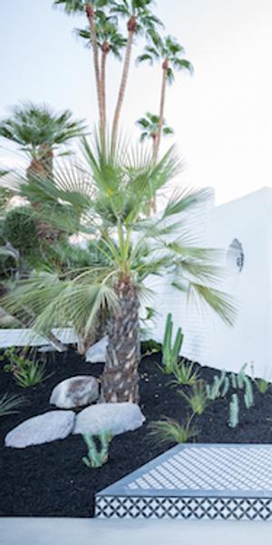 Modernism Week Showcase Home – Moroccan Modern