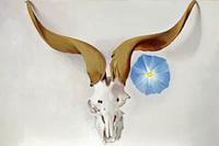 Georgia O’Keeffe, Ram's Head, Blue Morning Glory, 1938.  Oil on canvas; 20 x 30 in.  Georgia O’Keeffe Museum; Gift of The Burnett Foundation.  © Georgia O’Keeffe Museum.