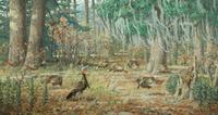 Louis Agassiz Fuertes’ (1874-1927) oil of wild turkey sparked highly competitive bidding to a final price of $86,250, double the high estimate of $40,000, and nearly triple the artist’s previous record.  