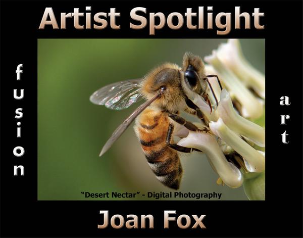 Joan Fox - Artist Spotlight Solo Art Exhibition www.fusionartps.com