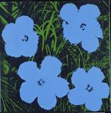 Flowers, 1964.  Andy Warhol, Screenprint on canvas, from First Look: Collecting for Philadelphia, on view from July 13, 2013 through September 8, 2013.