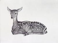 Kiki Smith, Fawn, 2001.  Etching and aquatint.  Purchase with General Acquisitions Fund and funds from Elaine L.  Levin and Diane Wisebram and gift of Stephen Dull.  Published by Harlan & Weaver, New York.