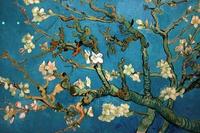 Van Gogh's Almond Blossom (1890) can be ordered as a 3D replica called Relievo from Amsterdam's Van Gogh Museum.