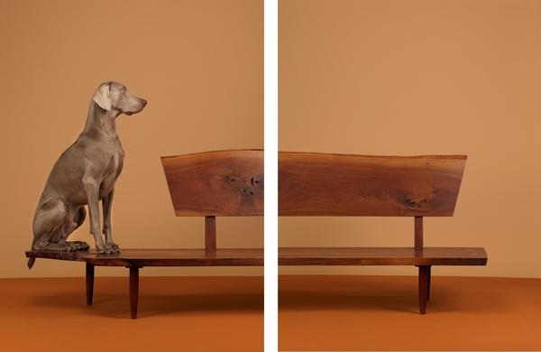 William WEGMAN (born in 1943) Looking Over, 2015.  Diptych, two pigment prints.  Edition 1/1.  Signed, titled, dated and numbered on a label on the back.  53.33 x 40 in 