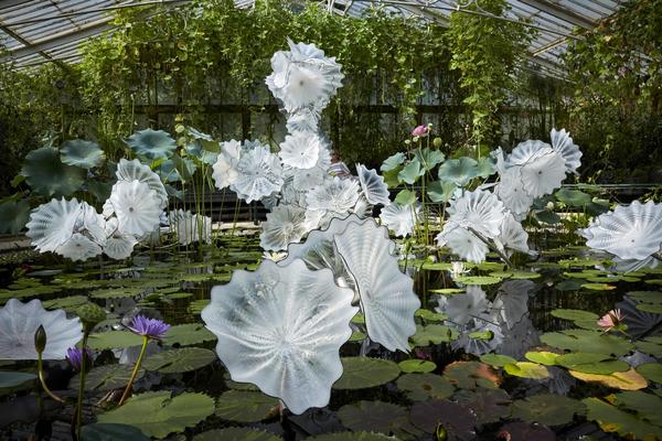 Dale Chihuly, Ethereal White Persian Pond (detail), 2018, 8 x 26 x 20' Royal Botanic Gardens, Kew, London, installed 2019, © Chihuly Studio.  All Rights Reserved.  