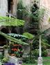 Courtyard of the Gardner Museum