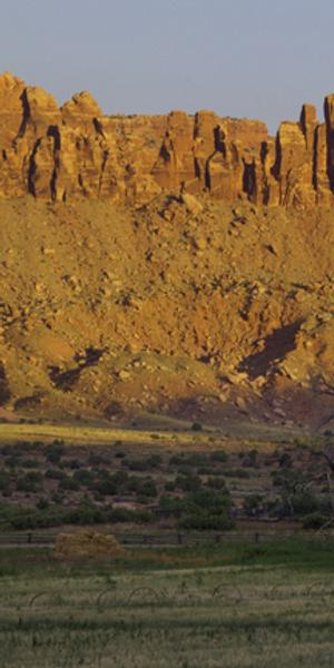 Indian Creek and Cliffside, Bears Ears National Monument