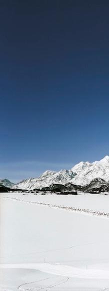 Andreas Gursky (German, born 1955) Engadin I (1995).  Inkjet-print.  207 x 356 x 6.2 cm.  Copyright: Andreas Gursky / ARS, 2015.  Courtesy Gagosian Gallery 