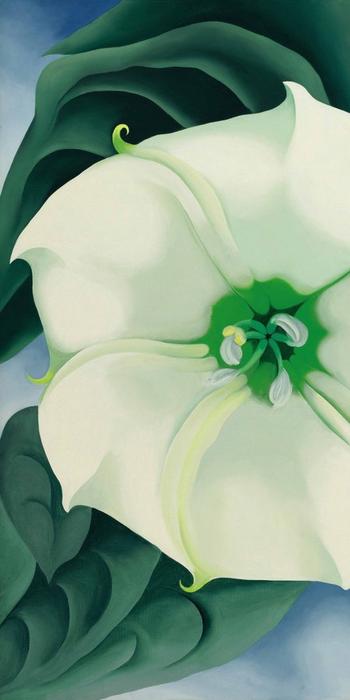 Georgia O'Keeffe's "Jimson Weed/White Flower No.  1" brought a record $44.4 million at auction.