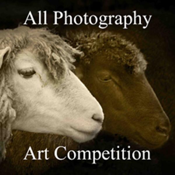 Call for Entries – 3rd Annual All Photography Online Art Competition