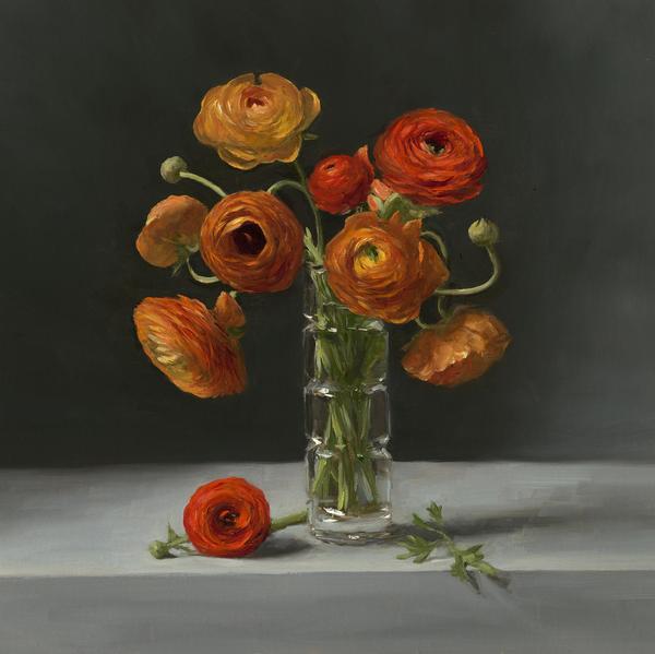 Sarah Lamb, "Ranunculus", oil on linen, 17x17 inches