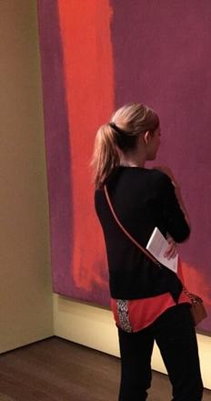 Viewing “Mark Rothko’s Harvard Murals” at the Harvard Art Museums, Nov.  16, 2014