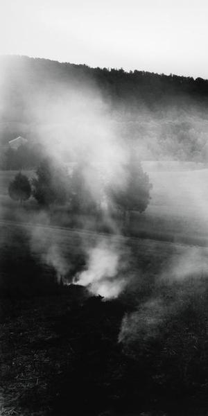 The Turn, 2005.  Sally Mann (American, born 1951).  Gelatin silver print.  94.9 × 117.2 cm (37 3/8 × 46 1/8 in.).  Private collection.  Image © Sally Mann 