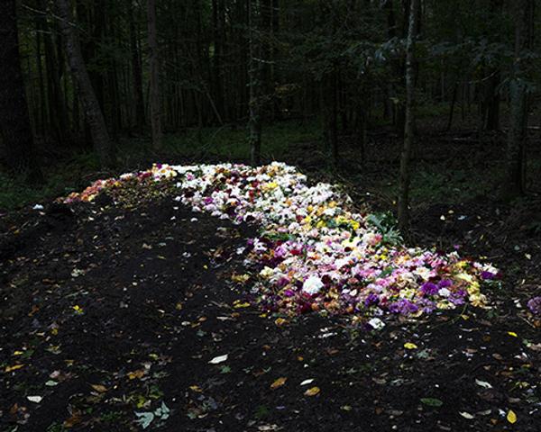 Cig Harvey, (born 1973, Devon, England), Compost Heap, 2019