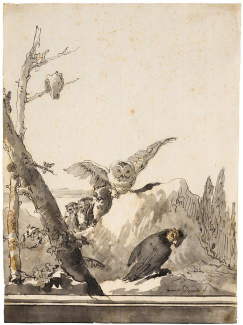 Giovanni Domenico Tiepolo (Italian 1727-1804), Owls on a Rocky Perch, c.  1770. Pen and grey ink  and grey and brown wash over traces of black chalk.  267 x 196 mm.