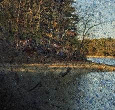 Walden: Pond/ Tent Camera Image, 2016 Abelardo Morell