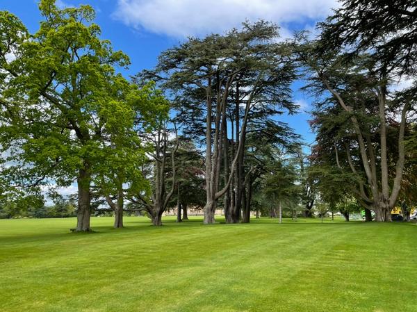 View of Blenheim Park and Gardens.  Landscaping by Capability Brown.  Photo: Aebhric Coleman