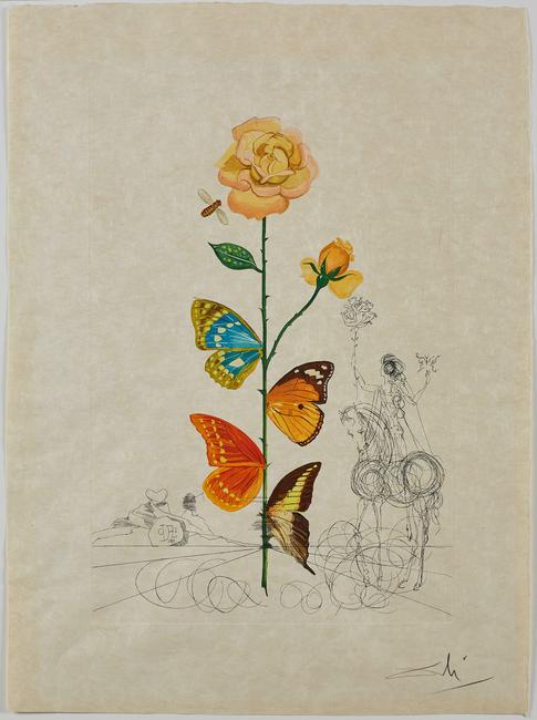 Rosa, Flordalí (Flor Dalinae), Salvador Dalí, 1968.  Photo Lithography with drypoint etching.  Collection of The Dalí Museum, St Petersburg, FL (USA) 2019; © Salvador Dalí, Fundació Gala-Salvador Dalí, (ARS), 2019 