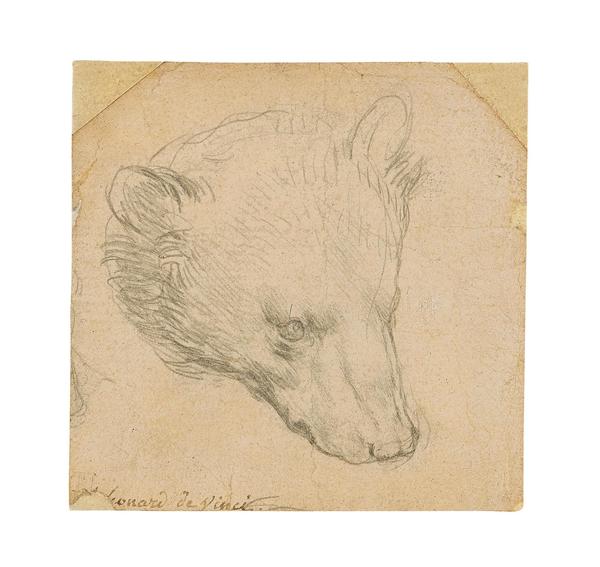 Leonardo da Vinci’s Head of a Bear will be offered for sale at Christie’s in London on July 8.