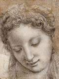 Drawings of Bronzino at the MET