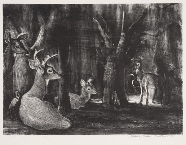 Victoria Hutson Huntley (American, 1900 – 1971), “Florida Deer Resting,” 1949.  Lithograph, 9 3/4 x 13 3/8 inches.  Private collection.