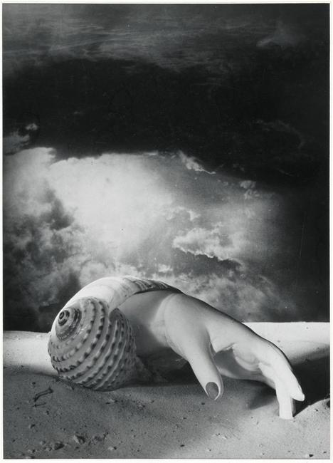 Dora Maar Untitled (Main Shell) Centre Pompidou, MNAM-CCI, Dist.  RMN-Grand Palais/Jacques Faujour