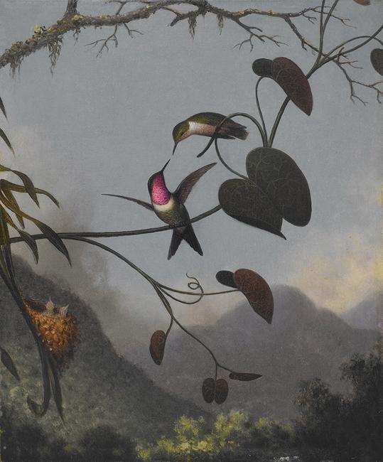 From "Cross Pollination: Heade, Church, Cole, and Our Contemporary Moment," Martin Johnson Heade, Amethyst Woodstar, ca.  1863 – 1864, Oil on canvas.  12 1/4 x 10 in.  Crystal Bridges Museum of American Art, Bentonville, Arkansas, 2006.84.  Photography by Dwight Primiano