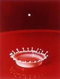 Milk Drop Coronet, 1957 Harold Edgerton (1903-1990) ©Harold & Esther Edgerton Foundation, 2010, courtesy of Palm Press, Inc.