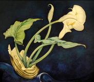 Charles Demuth, Calla Lilies, 1927.  Fisk University