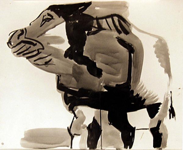 Howard Warshaw, Bull, c.  1950, ink on paper, 12.5 x 15 inches